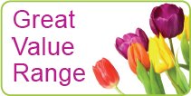 Great Value Ranges By Beautiful Bunches