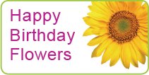 Happy Birthday Flowers By Beautiful Bunches